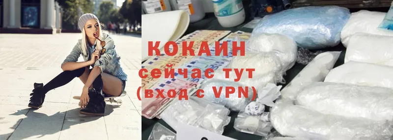 что такое   Новоалександровск  Cocaine Эквадор 